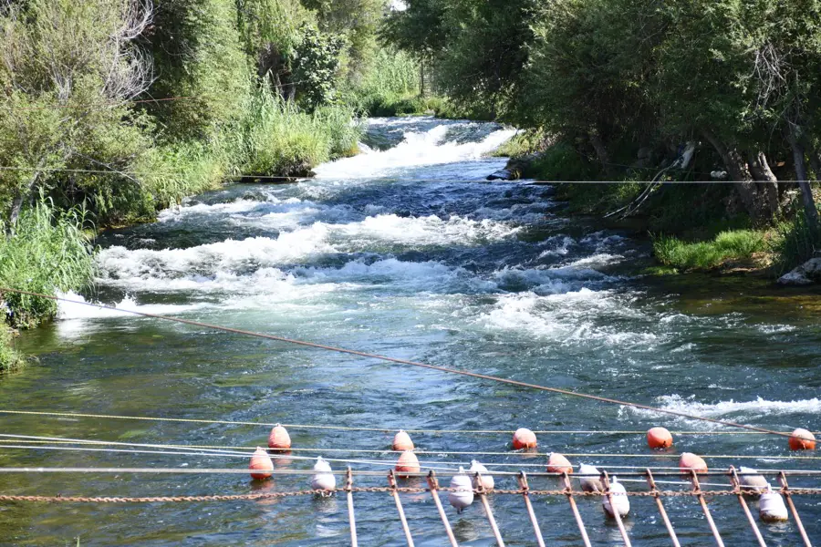 La rive verdoyante de la rivière Düden et son eau courante